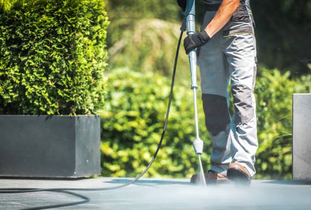 Best Animal Enclosure Cleaning  in Fairport Harbor, OH